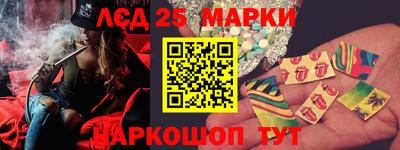 стаф Кузнецк