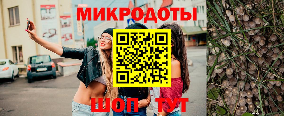 Псилоцибиновые грибы Psilocybe  Вход с VPN  Белебей 