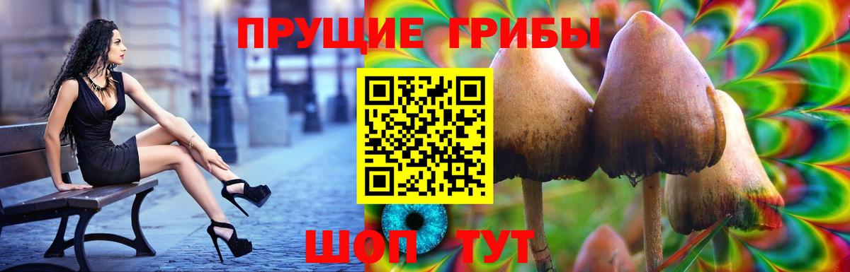Псилоцибиновые грибы MAGIC MUSHROOMS Белебей